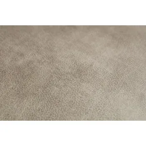 Rodeo Daybed Left Elephant Skin