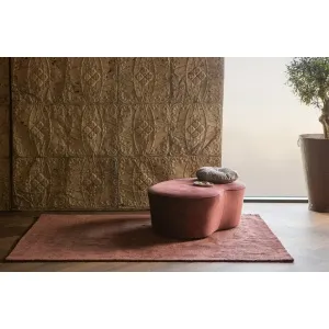 Trail Vloerkleed Chestnut 170x240cm