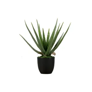 AloË Vera Kunstplant Groen 46cm
