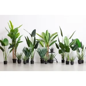 AloË Vera Kunstplant Groen 46cm
