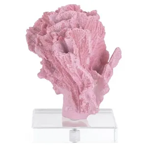 Faux koraal Aubry (Pink)
