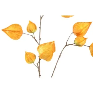 Twig Plant yellow physalis spray
