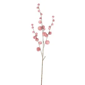 Twig Plant pink pom pom