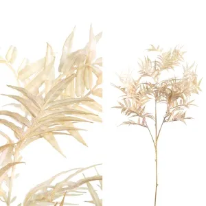 Fern Plant gold fern leaf