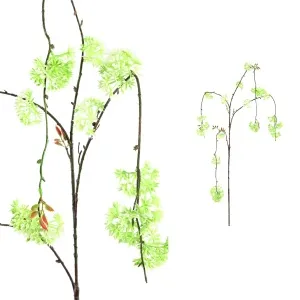 Twig Plant wit