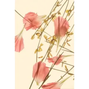 Schilderij Rain of flower leaves - Frame BL White