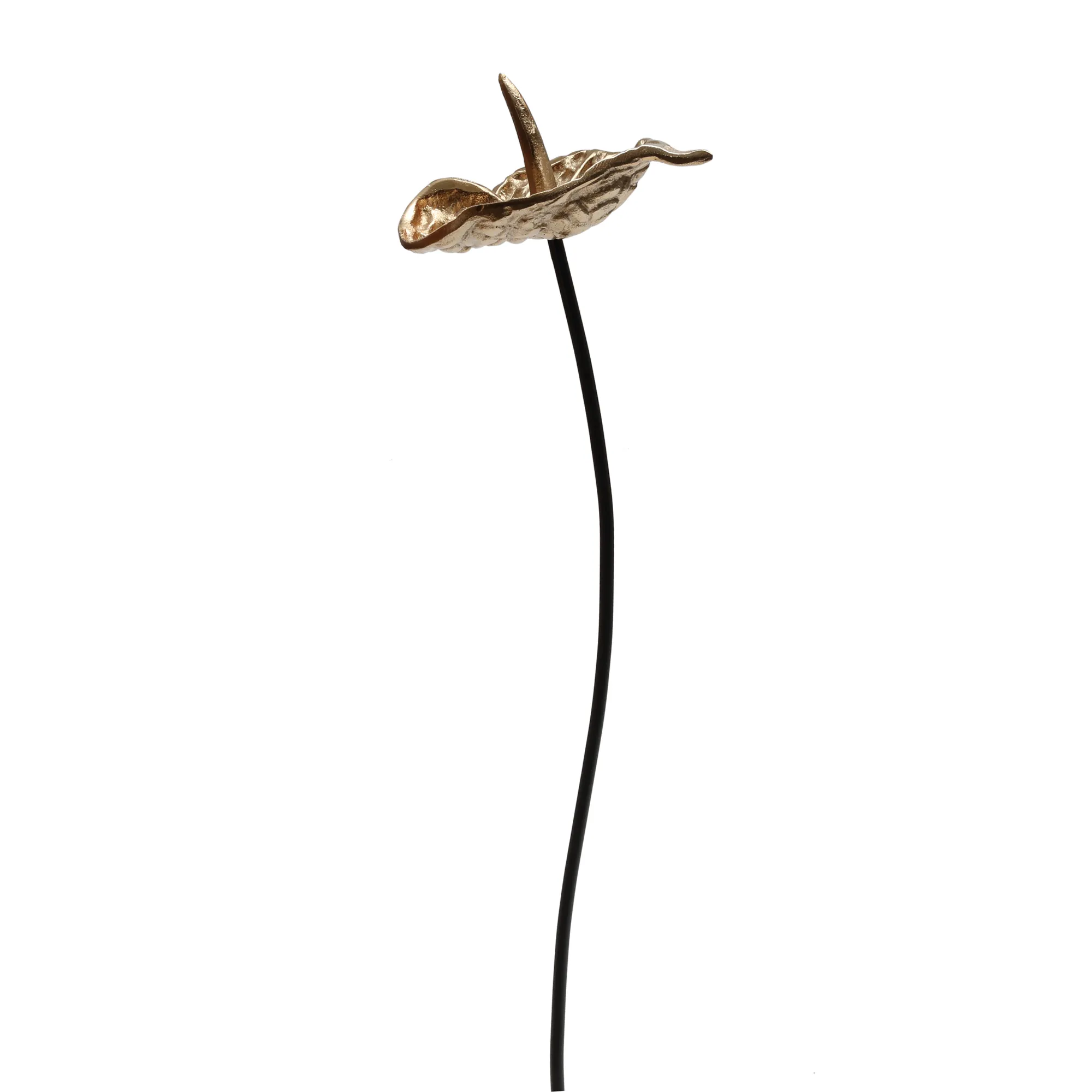 Alu Gold Bloem Anthurium Iron Stem