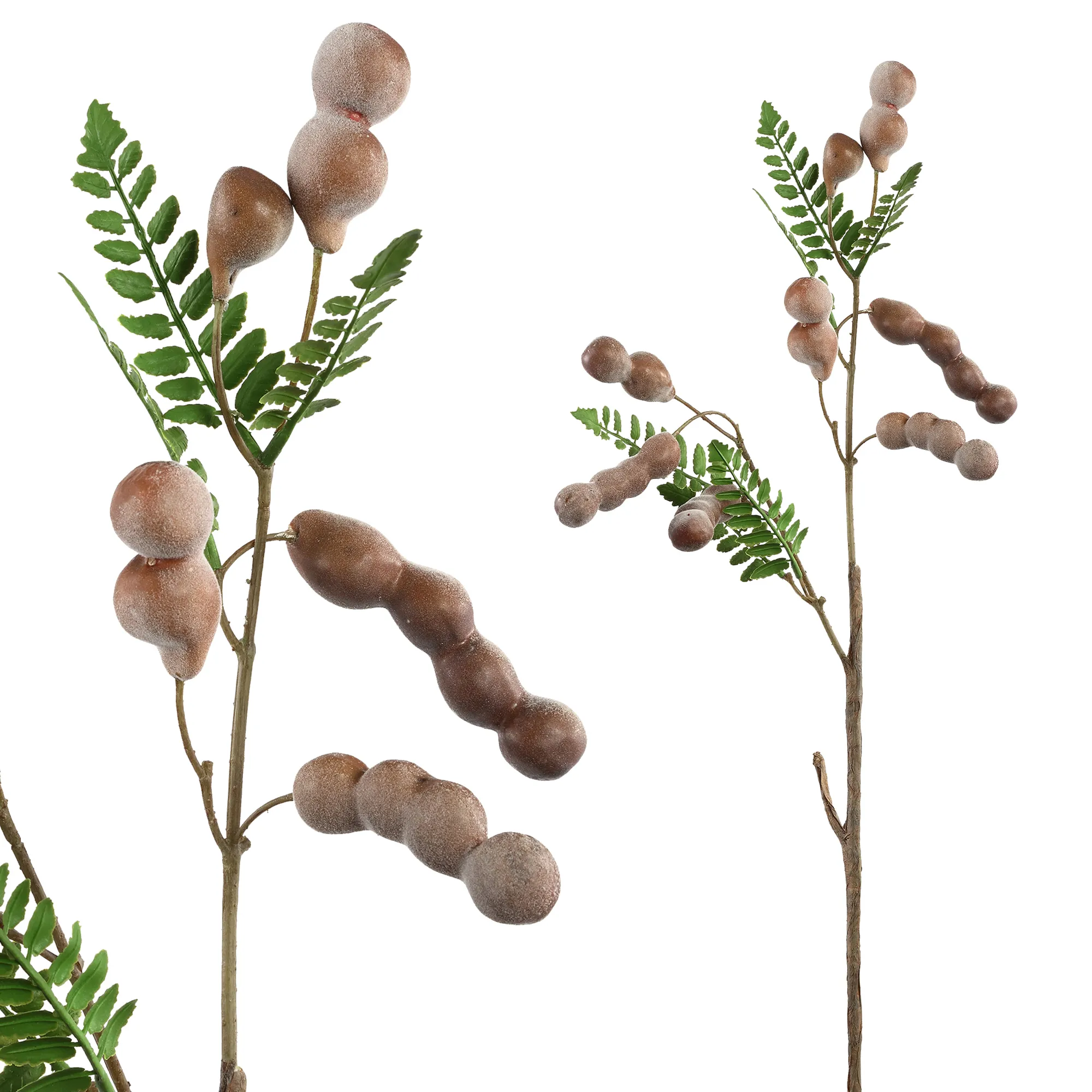 Berry Plant Brown Jumbo Bean Spray