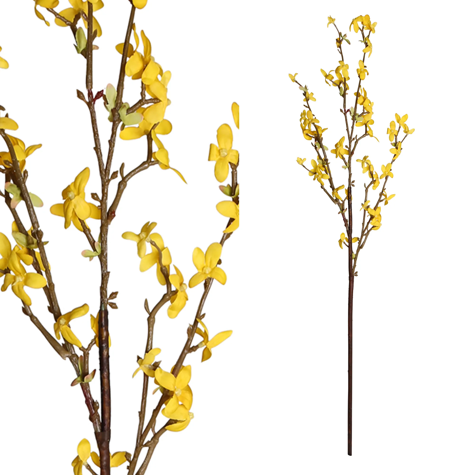 INACT Garden bloem yellow forsythia Spray
