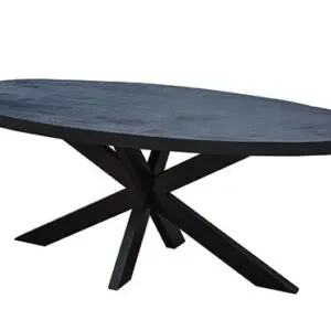 Showroommodel, zelf afhalen! Eettafel Back To Black II Ovaal 210 Zwart Mangohout