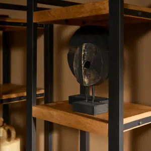 Boekenkast Boaz | 55 cm | deur