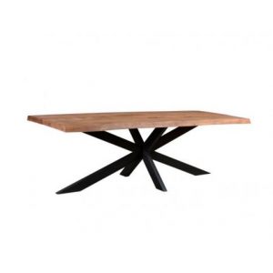 Brix Eettafel Sturdy Tree Top Spider 160