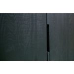 Silas 2-deurs Kast Essen Blacknight [fsc]
