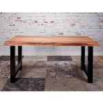Eettafel Boomstam 165