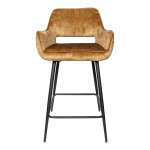 Barkruk Fal Velvet Gold