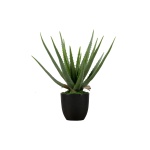 AloË Vera Kunstplant Groen 46cm