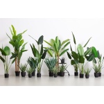 AloË Vera Kunstplant Groen 46cm