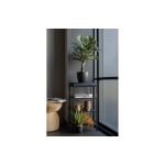 Zamia Kunstplant Groen 76cm