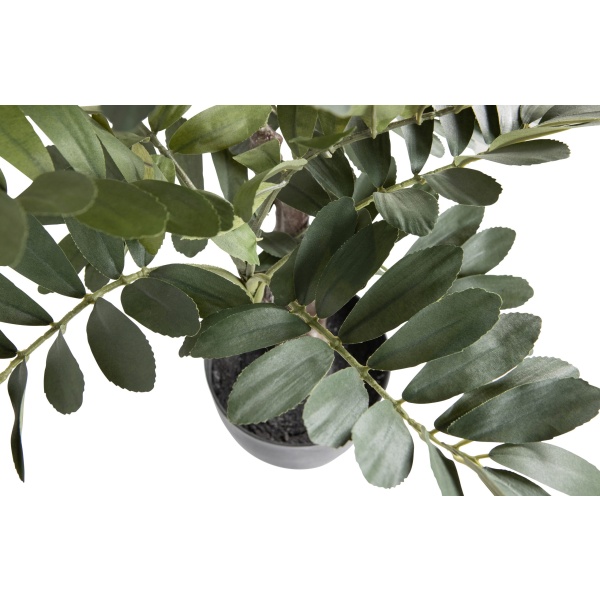 Zamia Kunstplant Groen 76cm