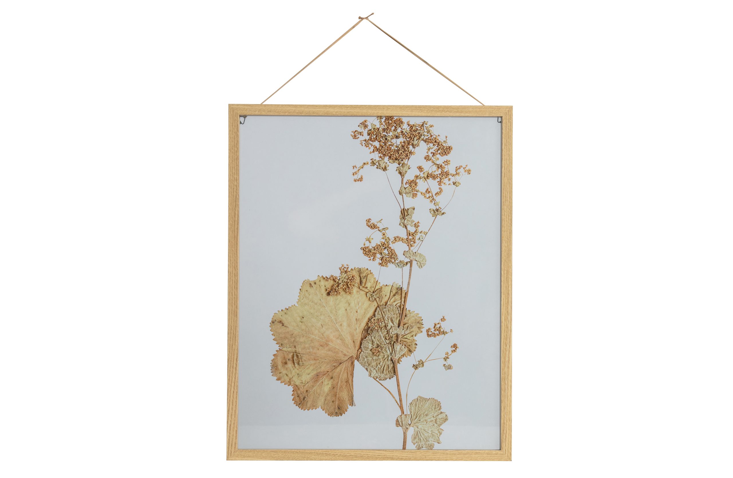 Rijp wasmiddel vermoeidheid Potpourri Fotolijst Bloemen Met Houten Rand 50x40 Online Kopen -  4UDesigned.nl