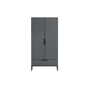 Adam 2-deurs Kast Grenen Steel Grey [fsc]