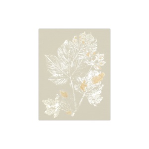 Maple Forest Poster 25,5x35,5 Cm