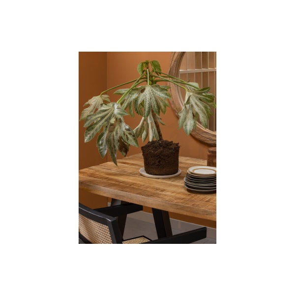 Tablo Tafelblad Mango Grof Bezaagd Naturel Melange 200x90