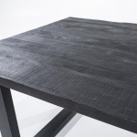 Eettafel Mango 300x100 - zwart