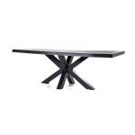 Boomstam tafel met spinpoot zwart - 200x100