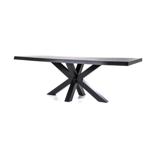 Boomstam tafel met spinpoot zwart - 200x100