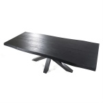 Boomstam tafel met spinpoot zwart - 200x100