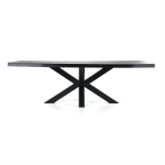 Boomstam tafel met spinpoot zwart- 240x100