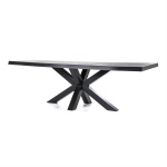 Boomstam tafel met spinpoot zwart- 240x100