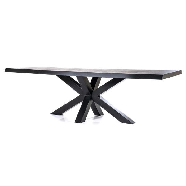 Boomstam tafel met spinpoot zwart- 300x100