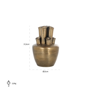 Vaas Roisee (Brushed Gold)