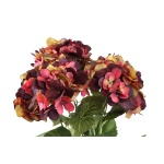 Hydrangea Flower burgundy