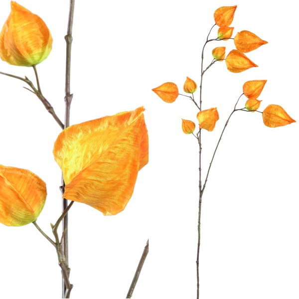 Twig Plant yellow physalis spray