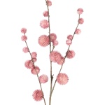 Twig Plant pink pom pom