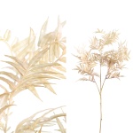 Fern Plant gold fern leaf