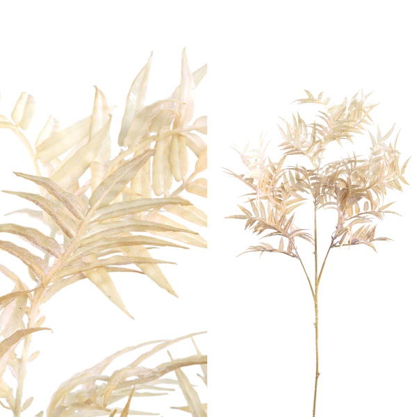 Fern Plant gold fern leaf
