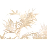 Fern Plant gold fern leaf