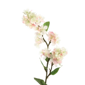 Garden Flower lichtroze pueraria