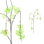 Twig Plant wit