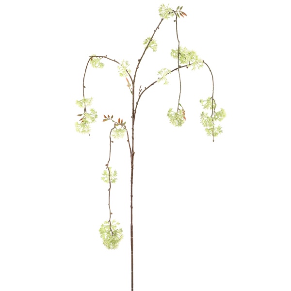 Twig Plant wit