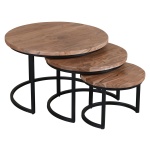 Salontafels set van 3 Coins Large Acaciahout