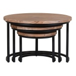 Salontafels set van 3 Coins Large Acaciahout