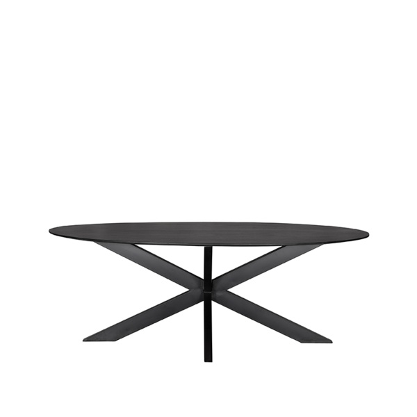 Eetkamertafel Zion - Zwart - Mangohout