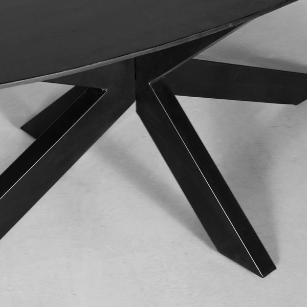Eetkamertafel Zion - Zwart - Mangohout