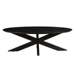 Salontafel Oslo Ovaal Acacia Black 130
