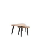 Salontafel Rock - Rough - Mangohout